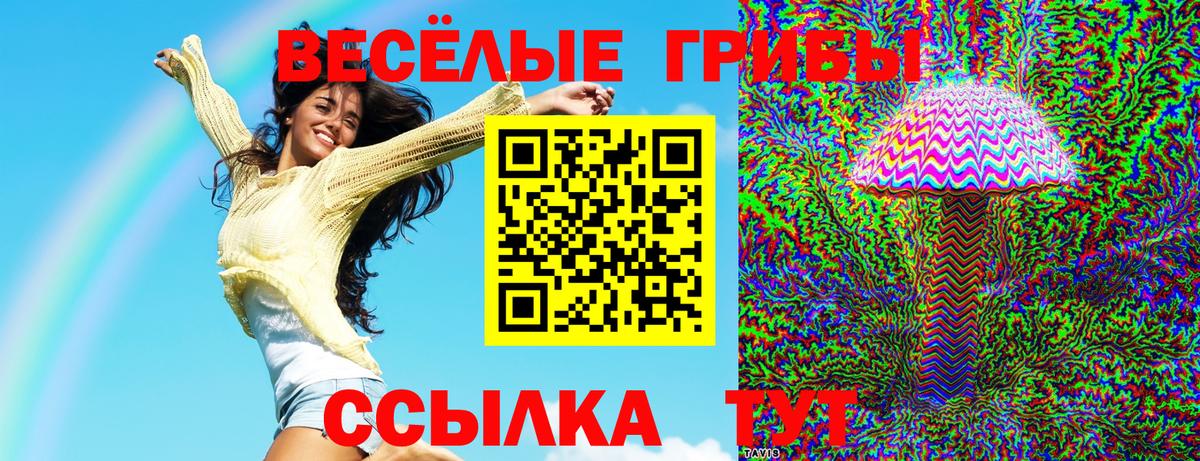 сколько стоит  Вход с VPN  Тутаев  Псилоцибиновые грибы Psilocybine cubensis 