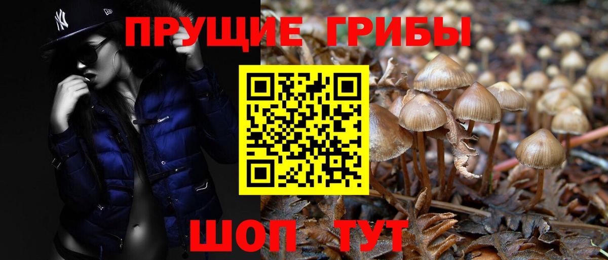 Галлюциногенные грибы мухоморы Тутаев